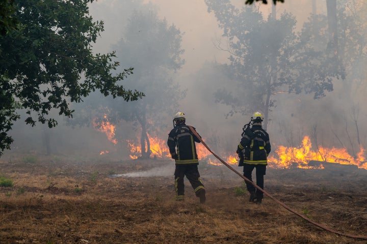 Firefighters spray water into a burning forest in the Lège-Cap-Ferret region of western France, Friday, July 24, 2026. (AP Photo/Caroline Blumberg)