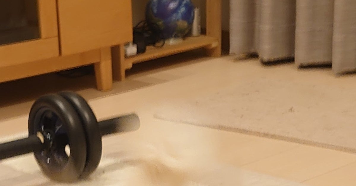 はしゃぎすぎて“消滅した”愛犬⇨衝撃ショットに「もはや幽霊」「質量を持った残像！？」の声