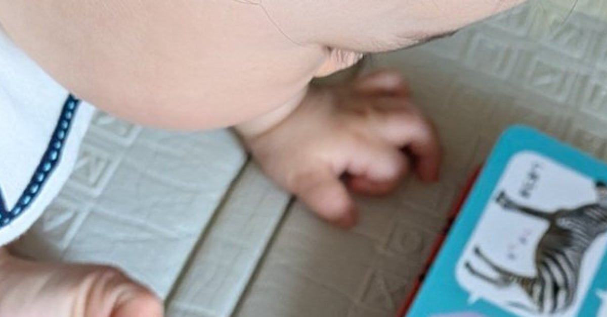 0歳児、『動物図鑑』を見つめ「ぱっぱ…」と連呼⇨パパと勘違いする動物に母困惑…ネット爆笑