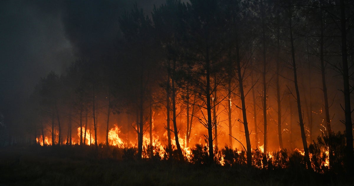 Wildfires In France Drive More Than 250,000 From Their Homes