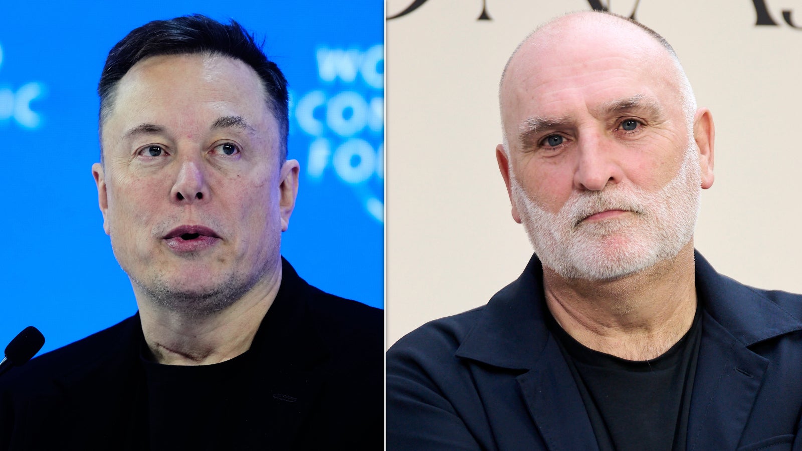 Elon Musk Has A Very Trump-Like Response To Mild Criticism