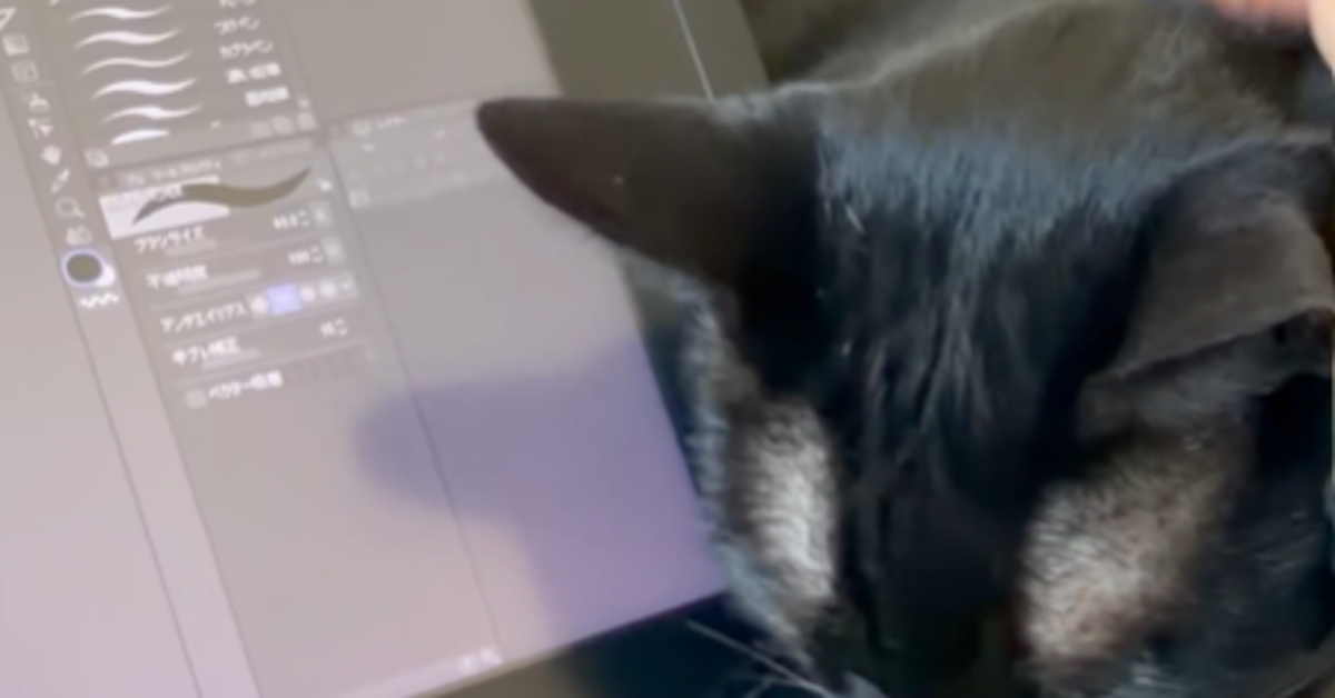 仕事中の飼い主に猫が“全力の妨害”⇨かまってアピールに「甘え方がかわいい」「今日は休めってこと」と反響