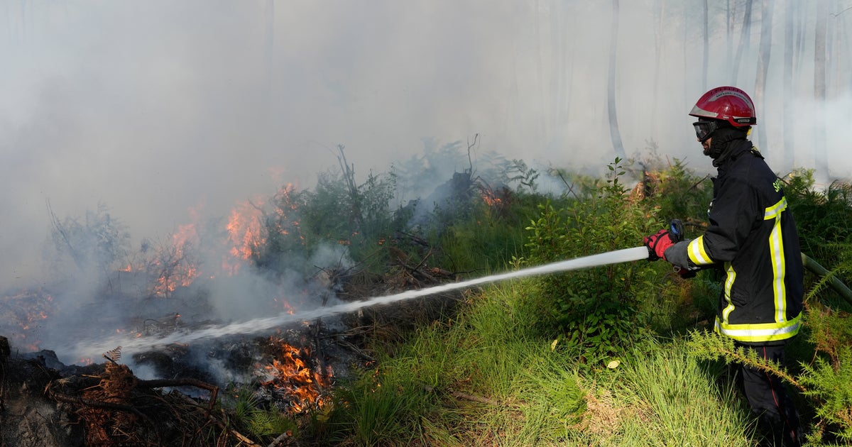 フランス・ボルドーに迫る山火事「第二次世界大戦以降、最も厳しい状況」。熱波で被害拡大の恐れ