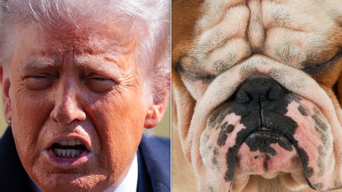 Experts Spot A Curious Change In Trump's Voice In His 'I've Done More For You Than Your Parents' Speech