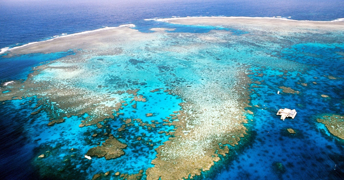 People Are Sharing The World's Most Overrated Tourist Attractions — And Some Picks Are Shocking