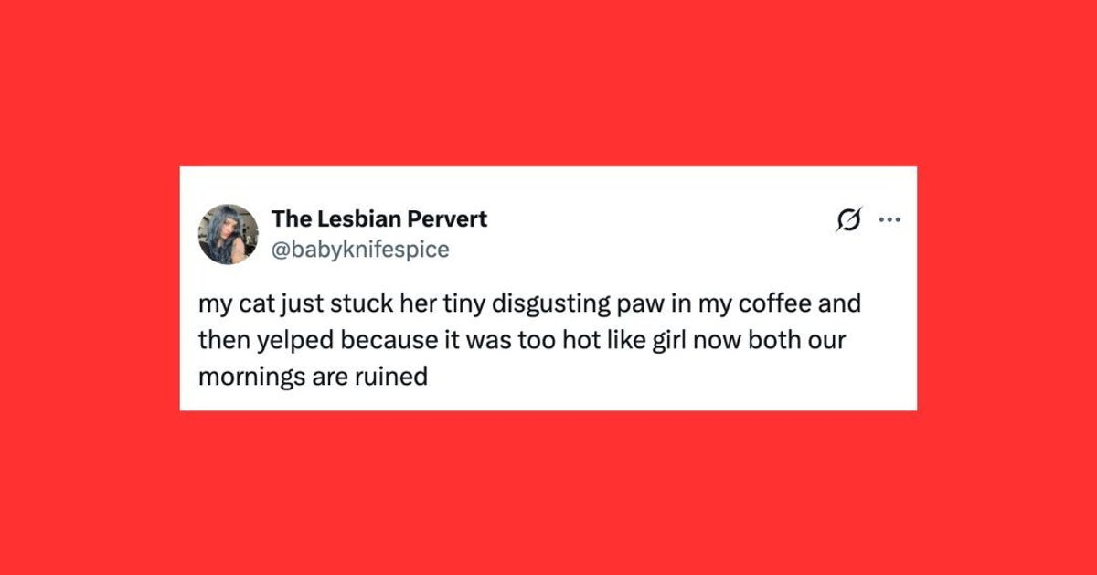https://img.huffingtonpost.com/asset/6a6cd972140000aacaeaf2bc.jpg?cache=huRJKzUdhZ&ops=1200_630