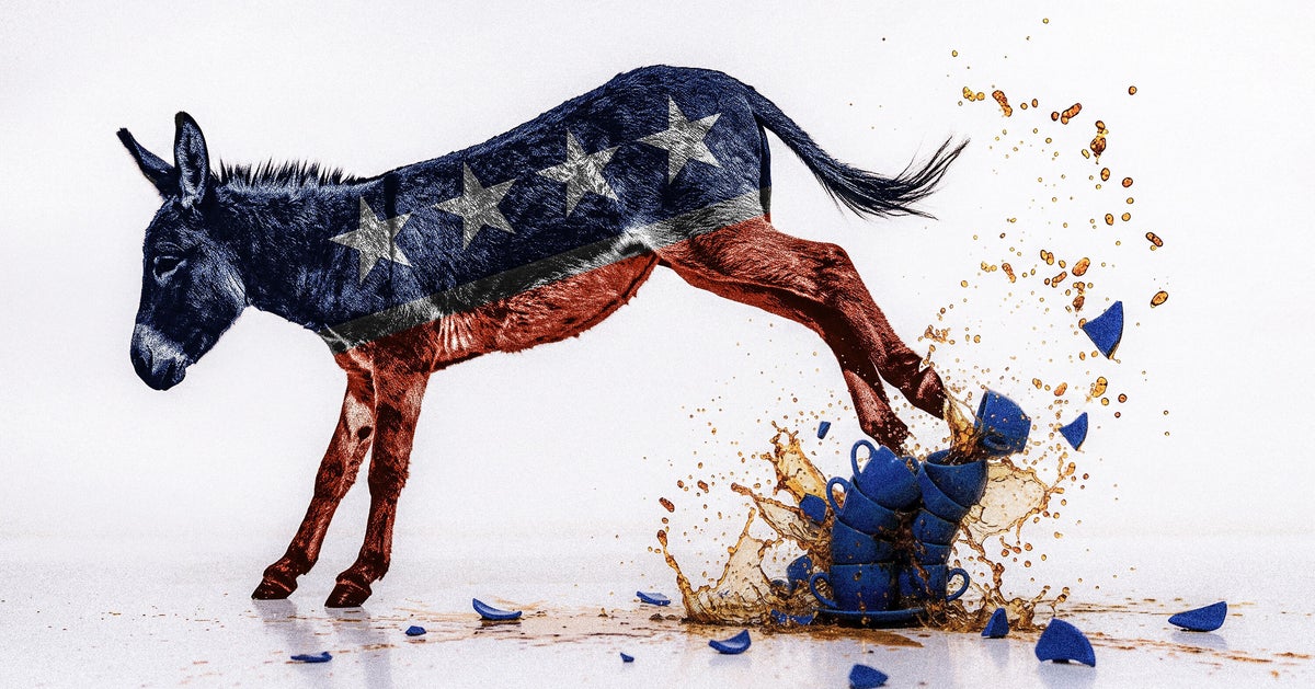 Democrats Confront Their New Tea Party Reality