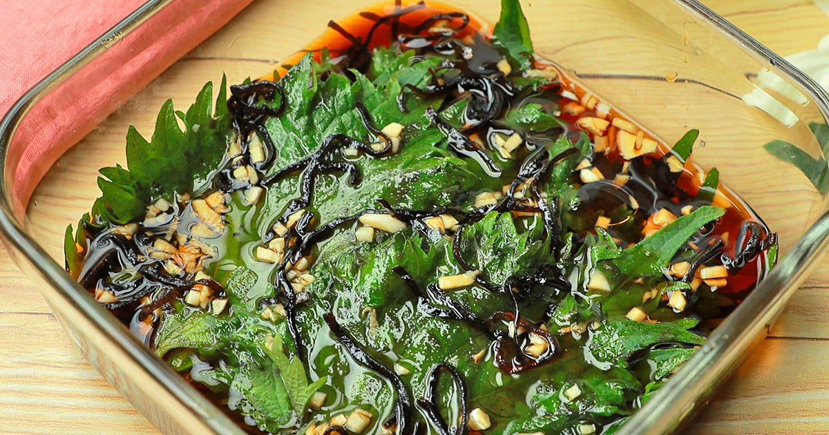 【大葉を漬けるだけで白米3杯食べられそう】夏のうちにいっぱい作ろ!大葉の簡単作り置きレシピ3選