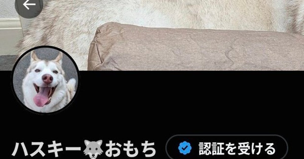 愛犬の写真をXのプロフィール画像にしたら…⇒絶妙な部分が隠れて「奇跡」「なんでこんなピッタリ」と爆笑の嵐