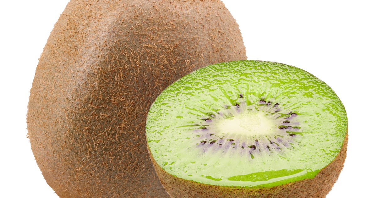 まるで“キウイ”な豆柴の赤ちゃん⇨飼い主の手にのる姿に「CM作れそう」「拡大したら分かりませんね」