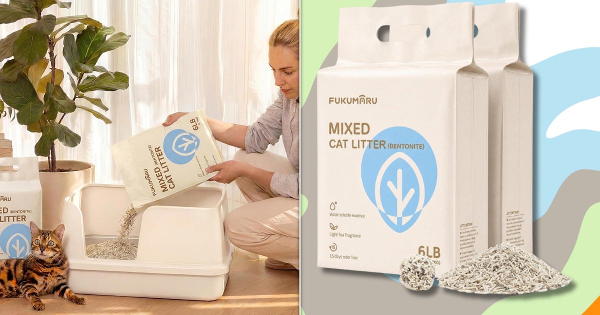 'By The Third Day, I Still Didn't Smell ANYTHING': This $20 Kitty Litter Seriously Works