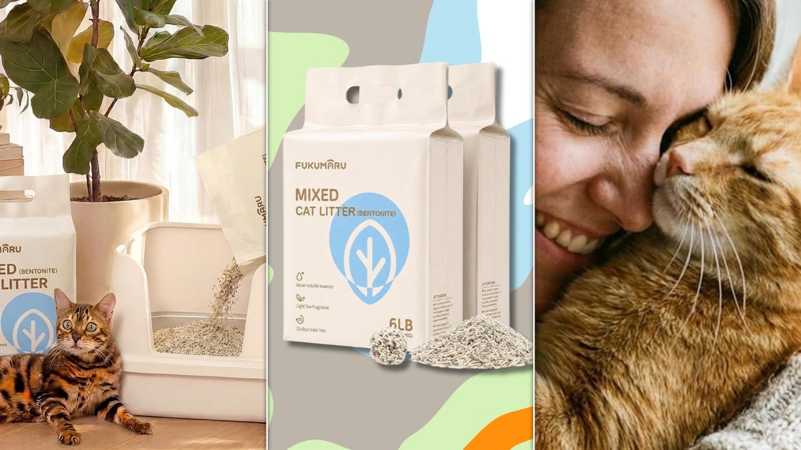 Calling All Cat Owners: 'Tofu Litter' Is About To Change Your Life — And It's On Sale