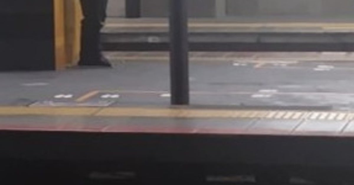 京都駅で忍者に遭遇。“目を疑う”佇まいに「そりゃ京都やし」「忍んでないな...w」とコメント殺到