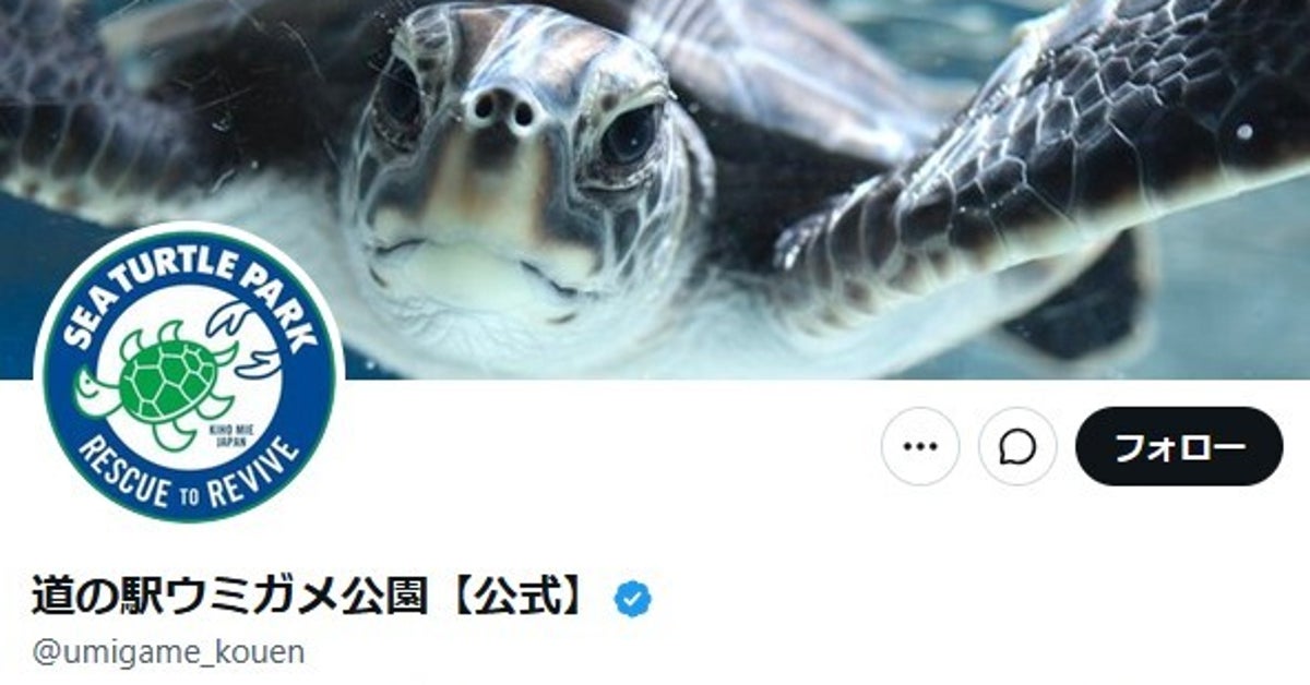 カメの脱皮が「プラモデルみたい！」と話題。予想外の“剥きっぷり”に「私の肌もこの仕様にしてほしい」の声