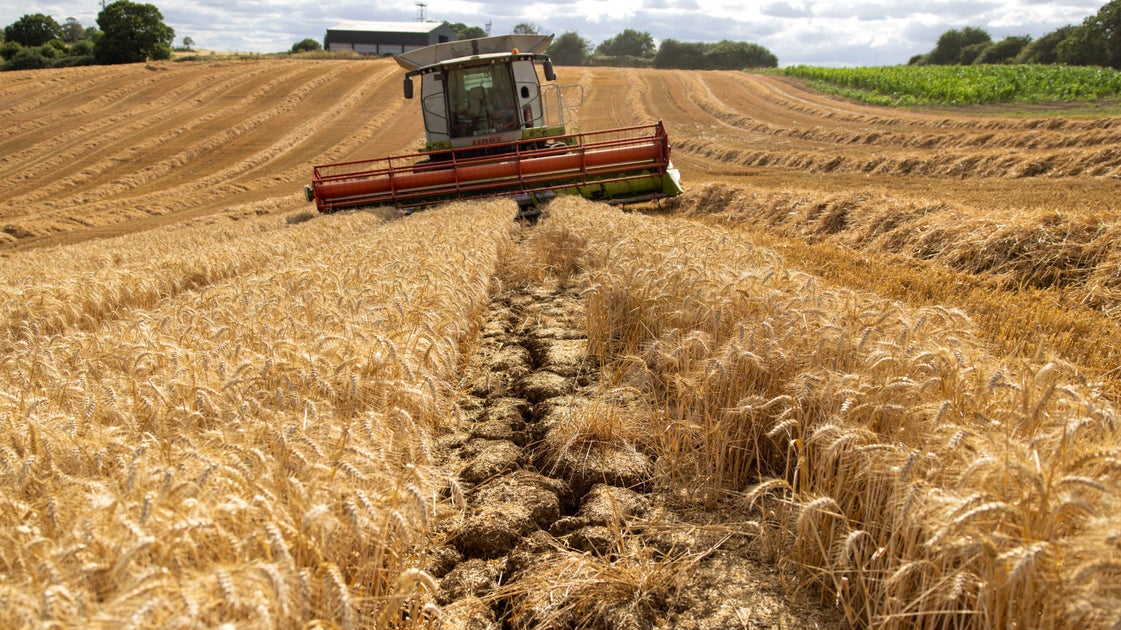 Although some commodity prices, such as wheat, maize and rice have increased in recent months, most still reflect relatively good harvests, rather than likely difficulties in the coming year.