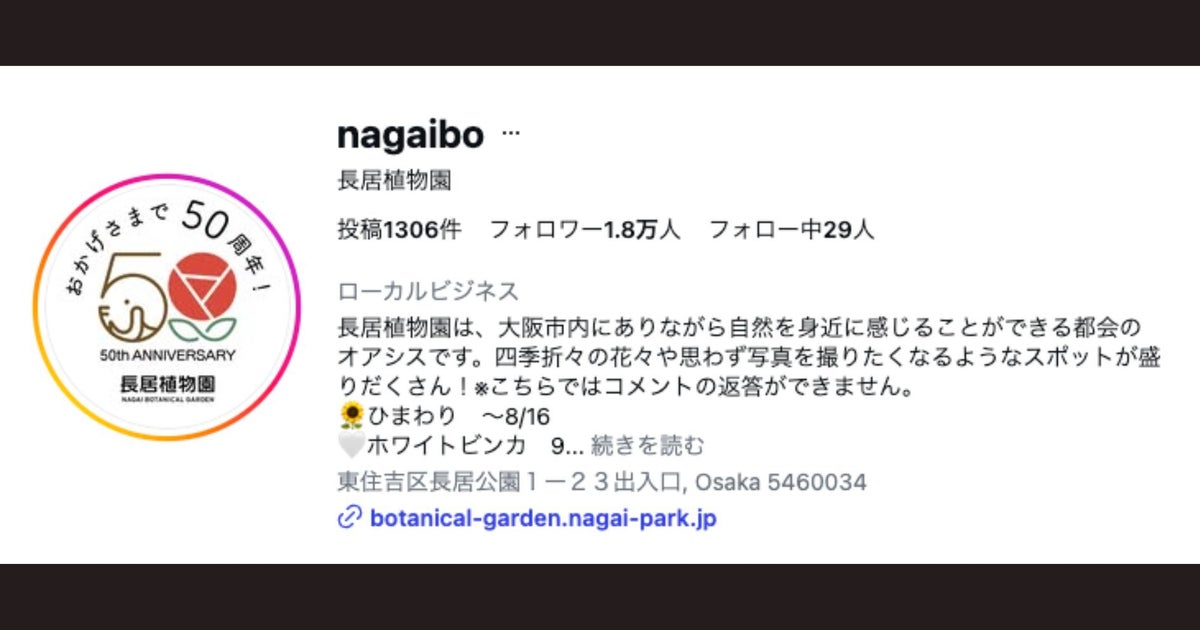 うわさ通りの“白色”！特別なヒマワリ2万株が大阪・長居植物園で満開に⇨今年初めての試みに「涼しげで綺麗」の声