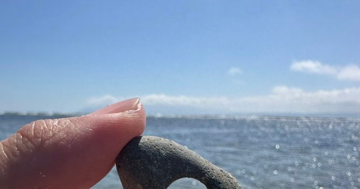 海岸で見つけた穴だらけの石…何これ？⇨投稿に寄せられた驚きの正体に反響
