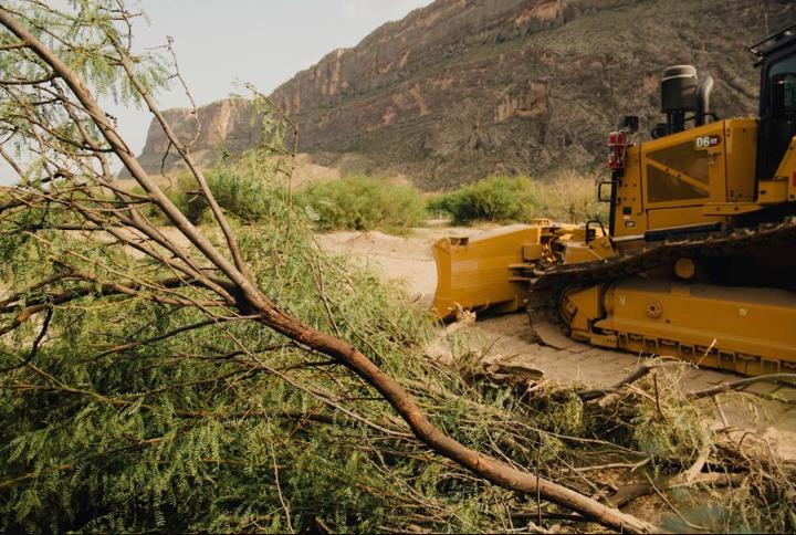 An uprooted tree lays beside the path of a bulldozer in Big Bend National Park.