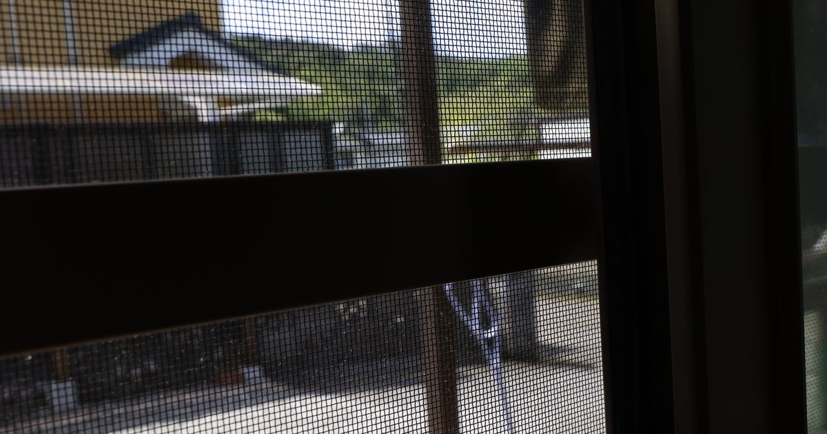 この虫、家や外で見かけても絶対に触らないで。「ベッドの上を…」「ついに庭に」SNSで悲鳴【“危険な虫”3選】