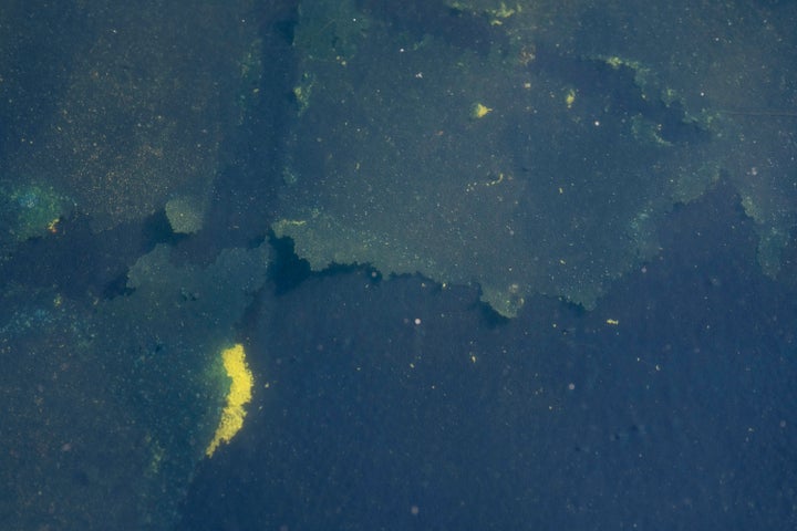 Bare patches are visible where newly applied blue paint has peeled from the bottom of the Lincoln Memorial Reflecting Pool in Washington, D.C., on June 20, 2026.