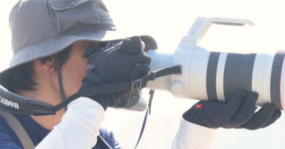 うさぎを撮影しようとしゃがんだら…⇨足元で起きた“まさかの光景”に「日陰だからか！」「夢みたい」と反響