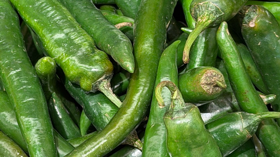 Hier sind die Jalapeño-Produkte, die wegen Verunreinigungsbedenken ...