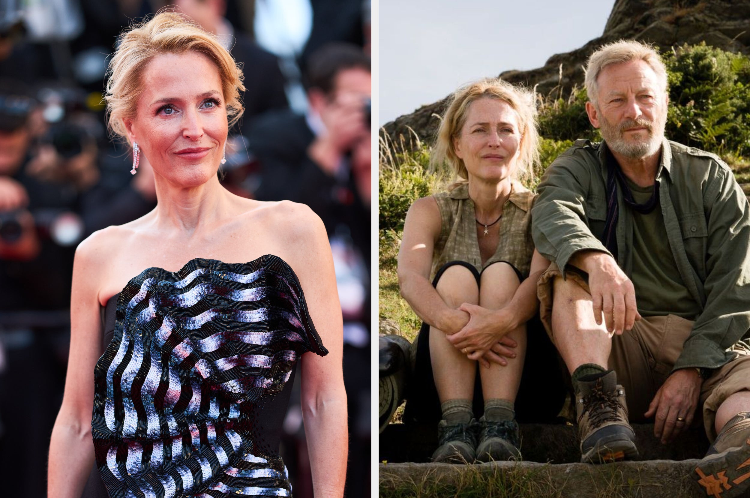 Gillian Anderson Speaks For The First Time About 'Unfortunate' Salt Path Controversy