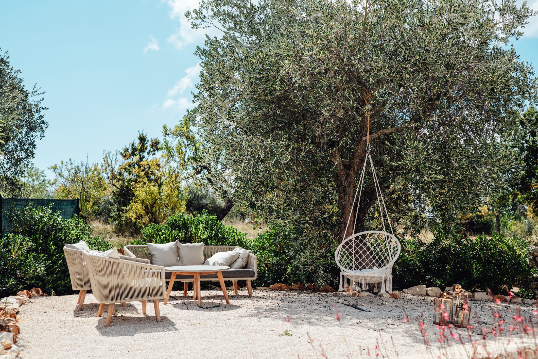 Garden Experts Share 6 Tips To Heatwave-Proof Your Garden For 2027