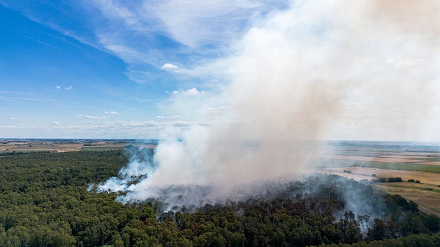 Andy Burnham to chair COBRA meeting on UK heatwave, wildfires and drought response