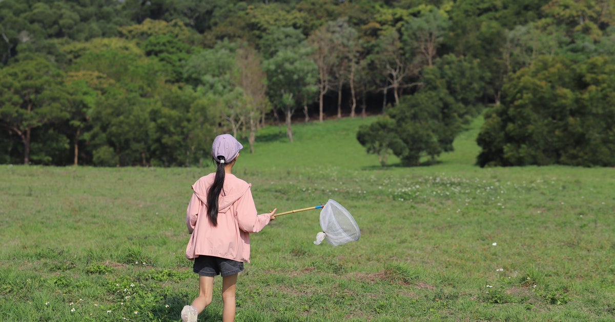 そのお尻が白い虫、いたら駆除して。「庭で発見」「公園に」生態系脅かす外来種…駆除方法とは？