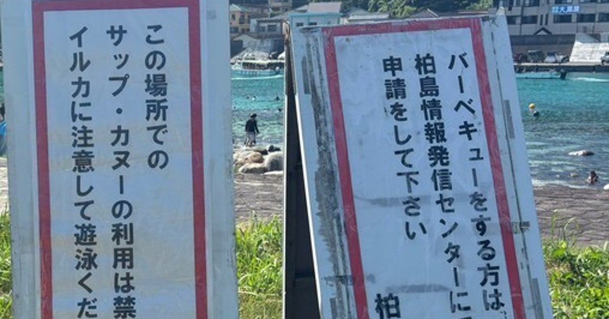 高知県・柏島ビーチが驚きの透明度！イルカや魚がハッキリ見える海に「もはや水族館より水族館してる」の声