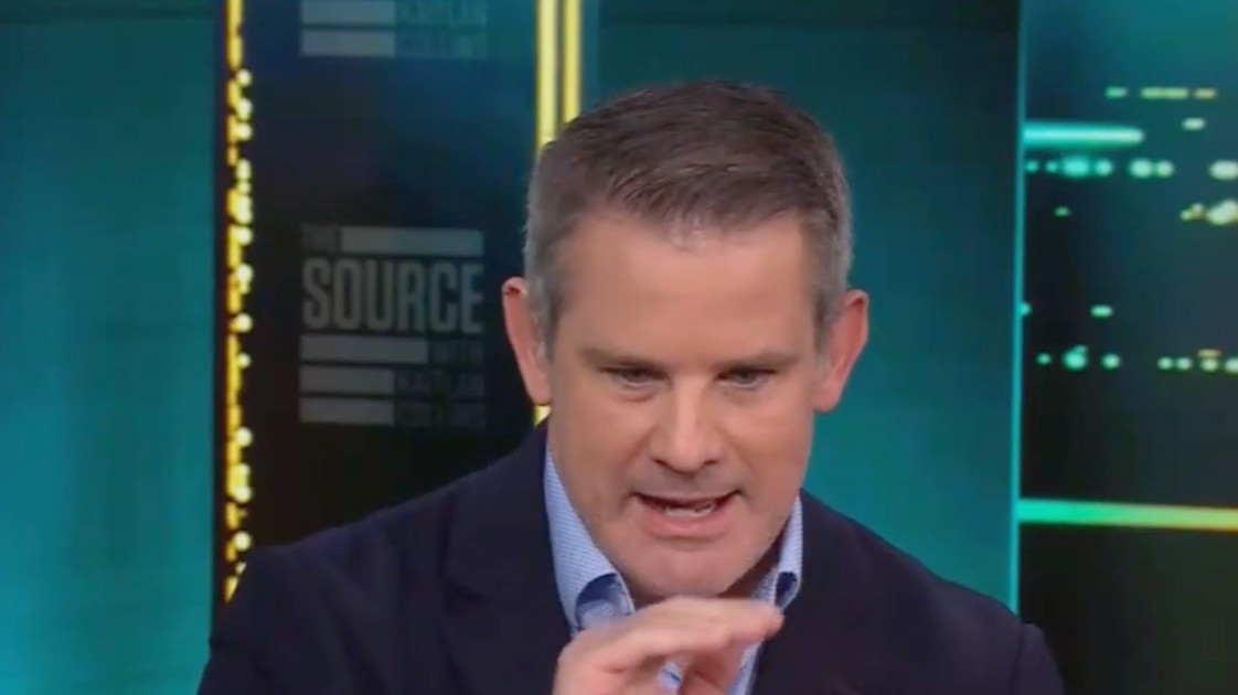 Anti-Trump Republican Gives Karoline Leavitt A Peculiar Compliment Before She Steps Down