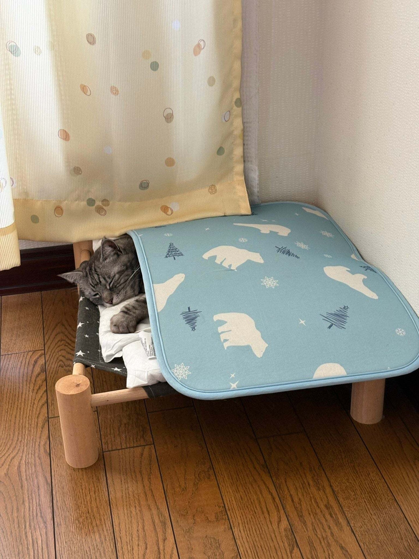 猫用ベッドに冷感マットを敷いたら…？ “想定外の使い方”に「そうじゃにゃい」「かわいすぎて言葉が消滅する」【画像】 | ハフポスト 画像枠