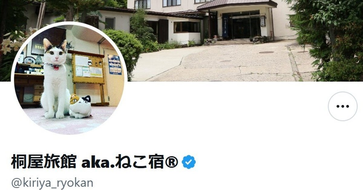 長野・野沢温泉の旅館で“隠れているつもり”の看板猫⇨「頭も尻も隠れてない」「お顔が...」と爆笑