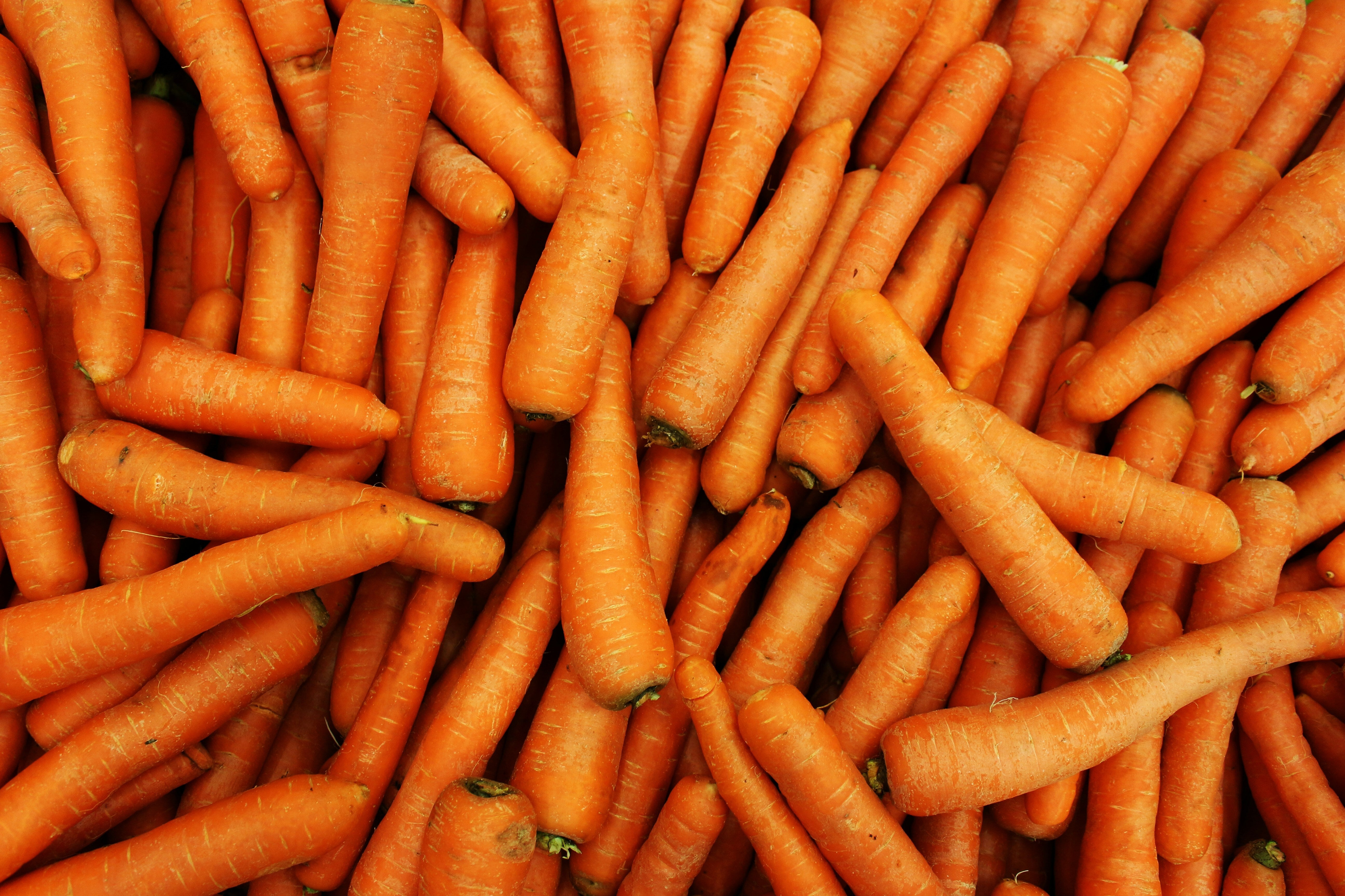These Are The Foods Most At Risk Of Price Hikes Because Of This Summer's Drought