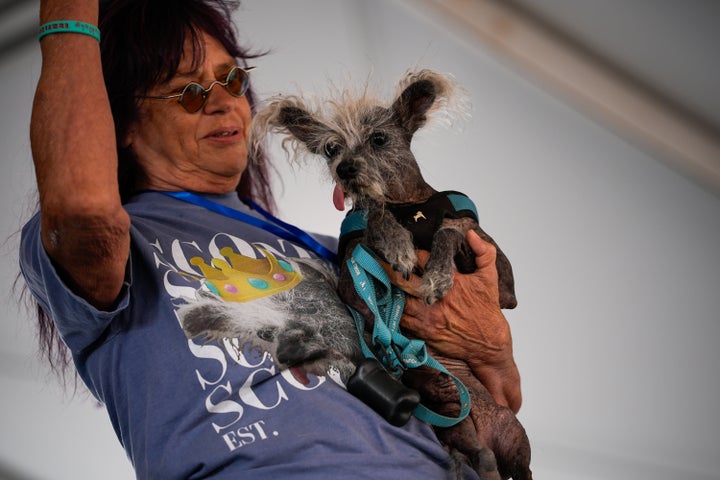 Scooter, a Chinese Crested dog, won the contest in 2023.