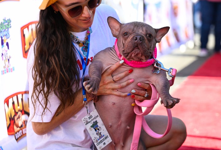 Petunia was last year’s winner.