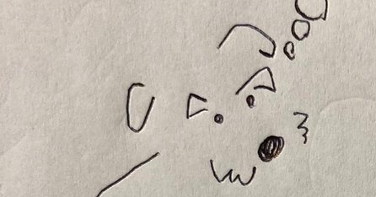 素朴な疑問、犬の散歩ルートってどうやって決めてるの？⇒「結構、相談して決まります」イラストに反響