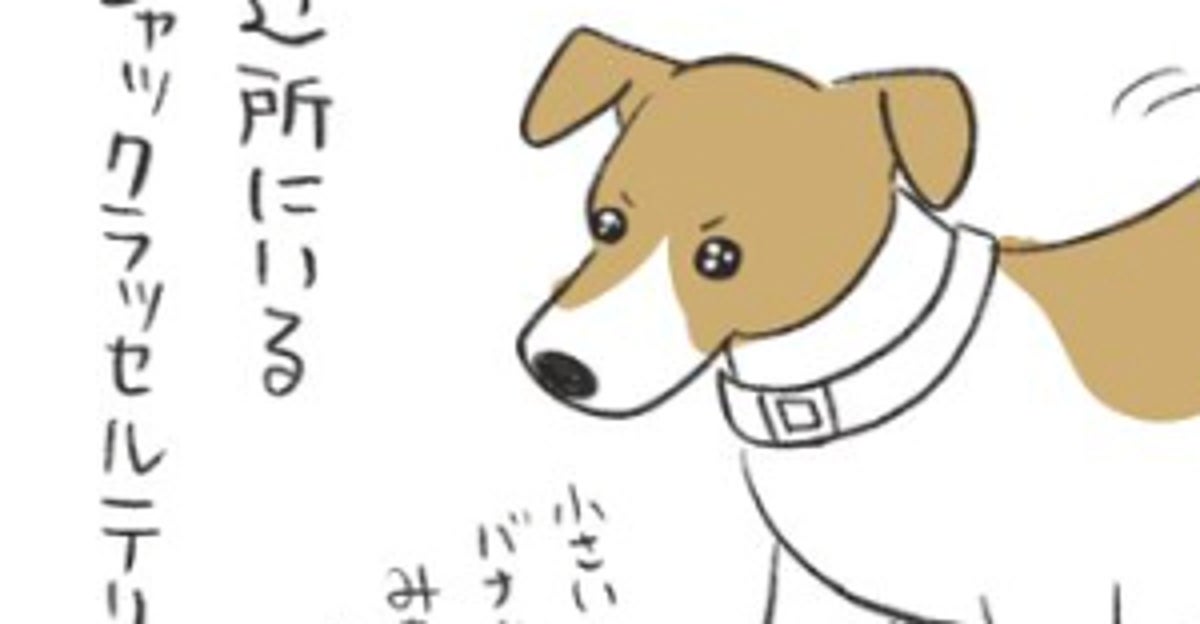 全然さわれない…!“物理的”に掴みどころのない犬に「こういう子いるいる!」「うちの子がまさにこれ」