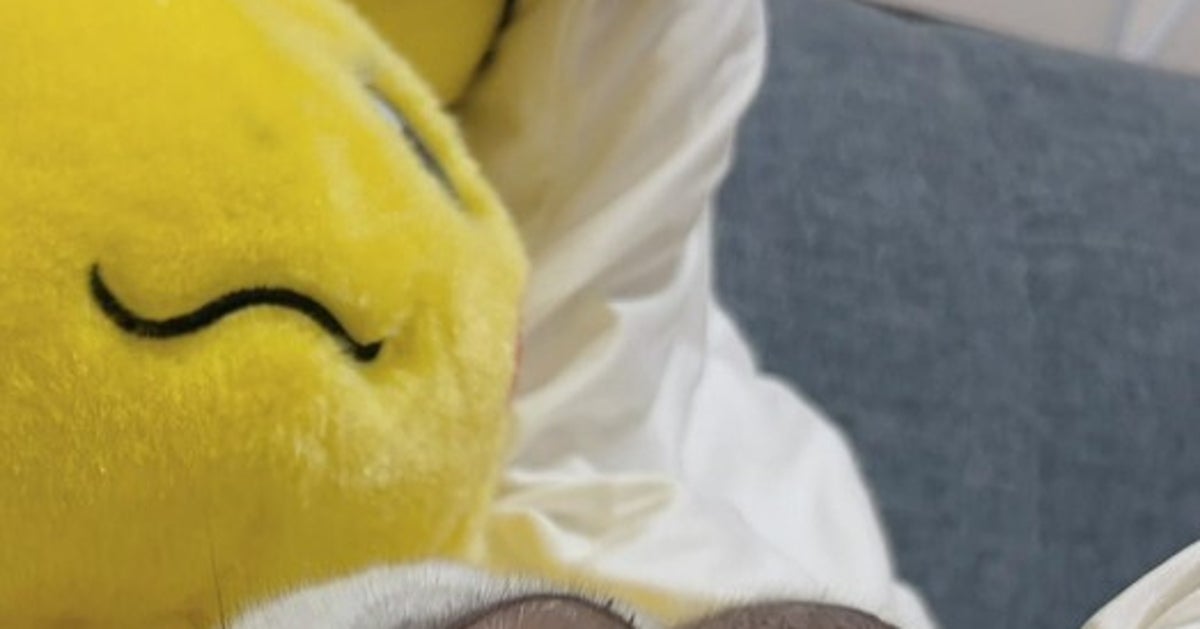 ピカチュウぬい、まさかの「ネズミ友」誕生⇨チンチラとの“ハイタッチ”に「尊すぎる」「フォルムが同じ」の声