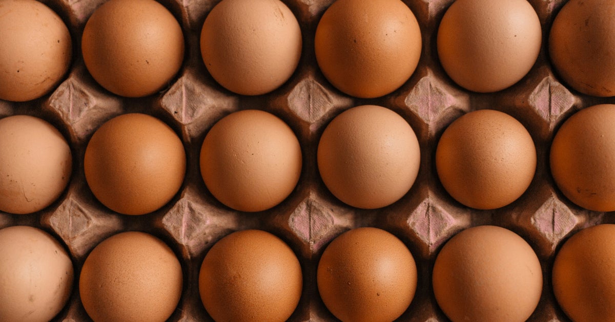 Salmonella Outbreak Potentially Linked To Imported Eggs: Symptoms To Look Out For