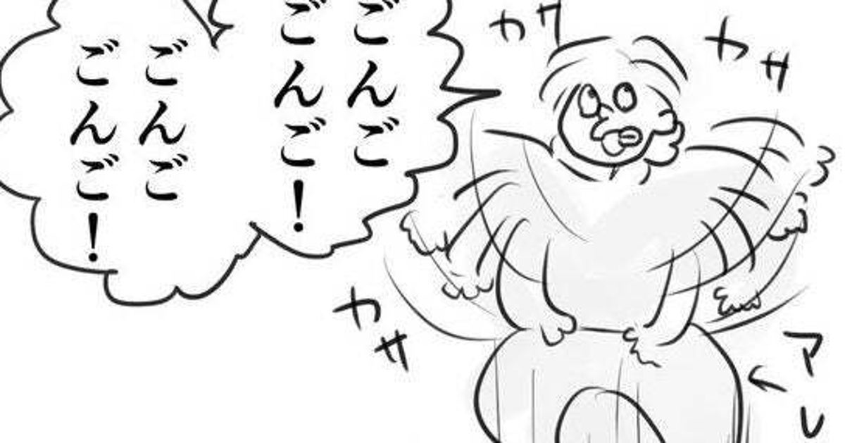 「ごんごごんご！」飼い猫を喜ばせようとしたら…？ 予想外の結果に「笑い止まらなくなった」「ねこがうれしければよし」（体験マンガ）