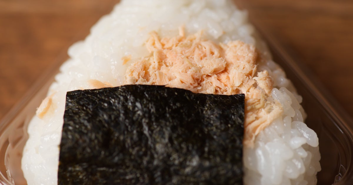 夏毛への変わり方を忘れた猫⇨もっふもふの“三角おにぎり”姿に「これで夏毛！？」「なんて美しいおにぎり」