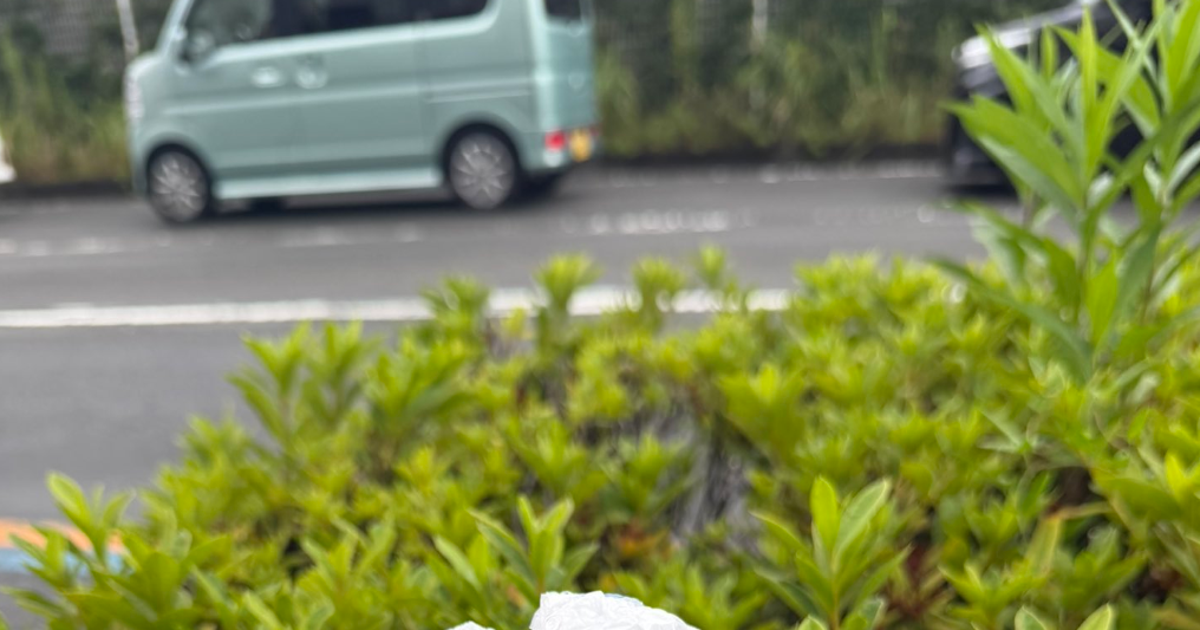 大切な推しぬいがビニール袋で“雨宿り”。SNSに投稿されたエピソードに「みんな優しい」の声