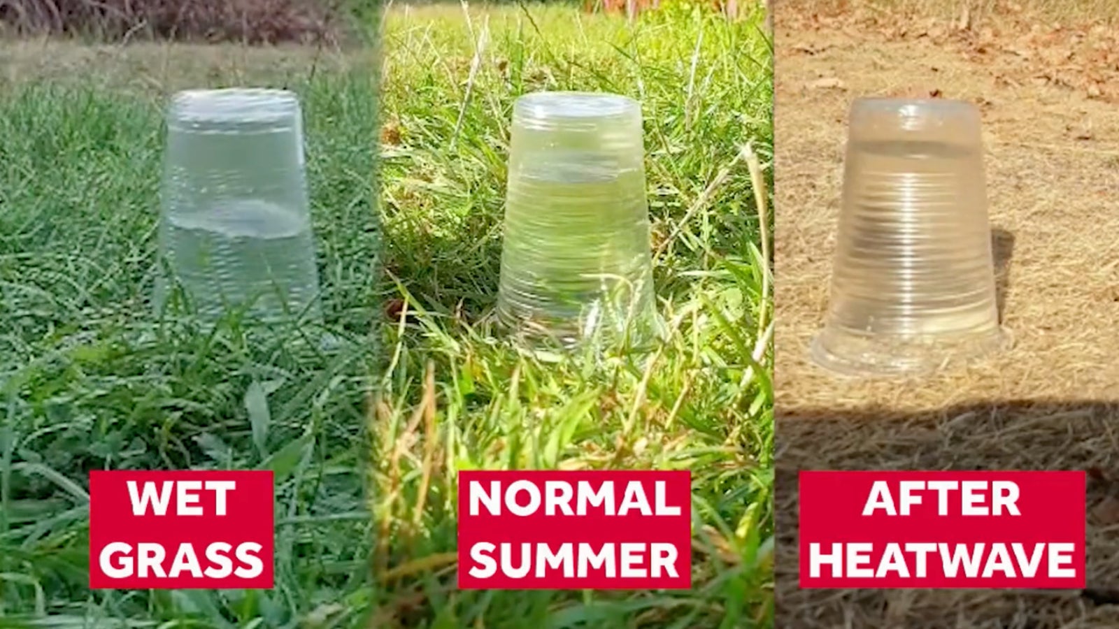 Here's Why Flash Floods Can Be So 'Dangerous' After Heatwaves