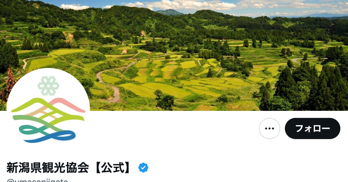 巨大な動物も出現...！新潟「わらアートまつり」の迫力がすごい⇨「戦闘力高い」「今にも動き出しそう」