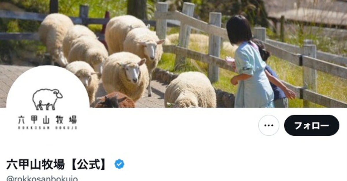 アルフィー高見沢そっくりの白い馬⇨「『ベルばら』のオスカル」「オダギリジョー」と反響続々
