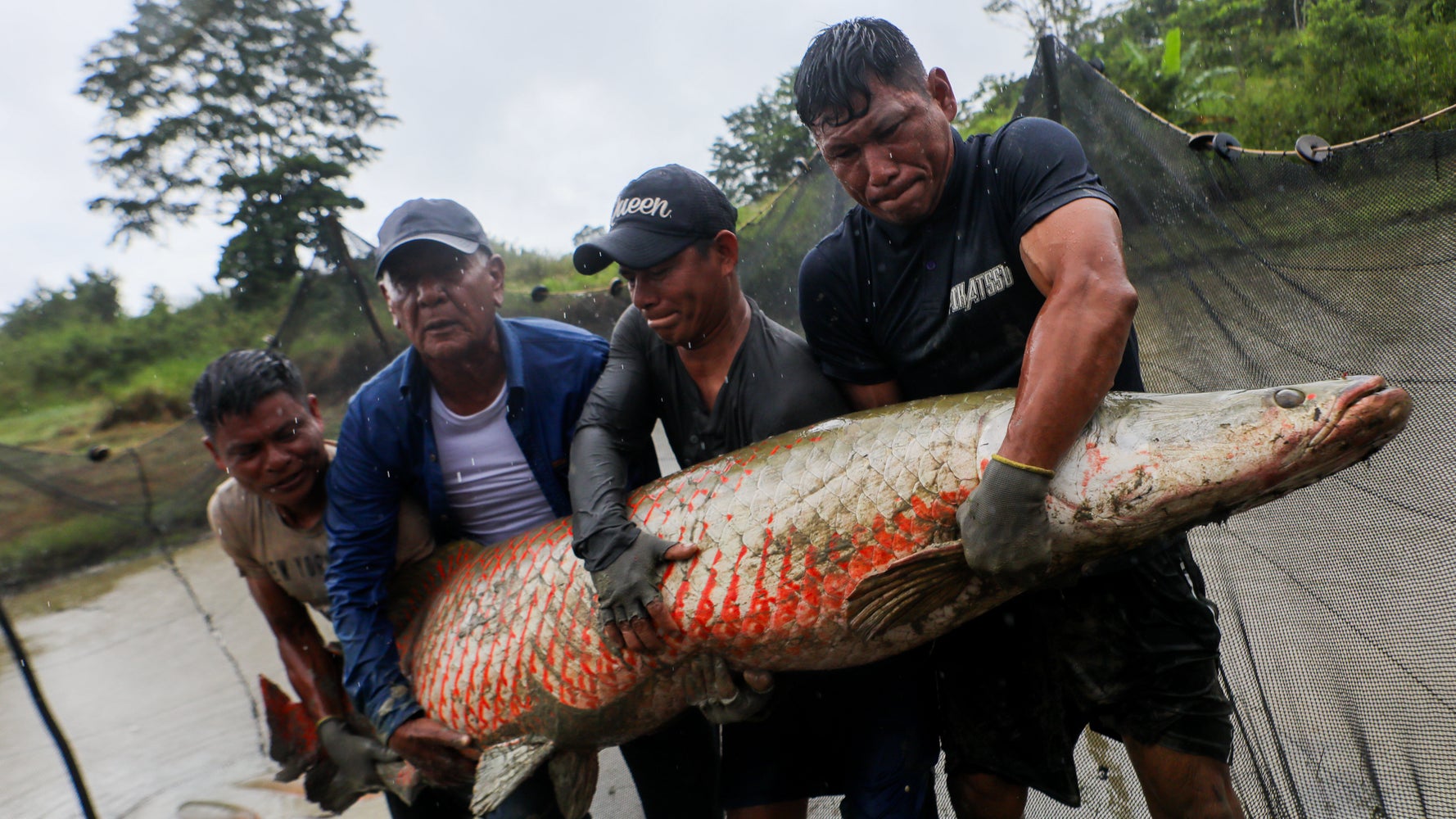 世界最大級の淡水魚が大胆バッグに！リアルすぎる形に「欲しすぎる