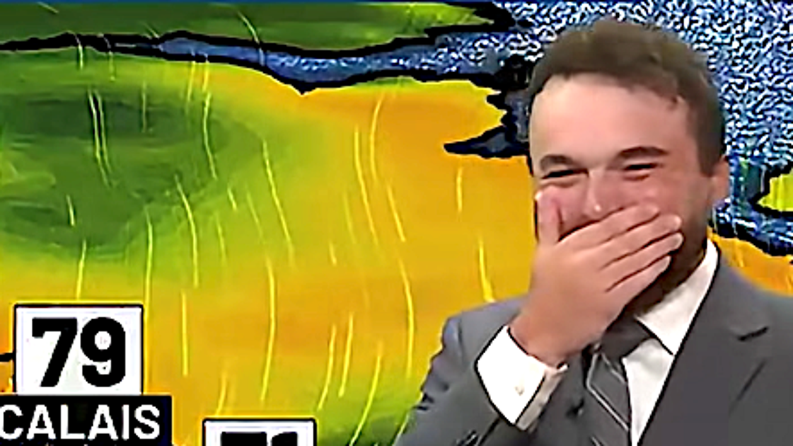 Weatherman Literally Can't Stop Laughing As Chaos Unfolds On Air - HuffPost image