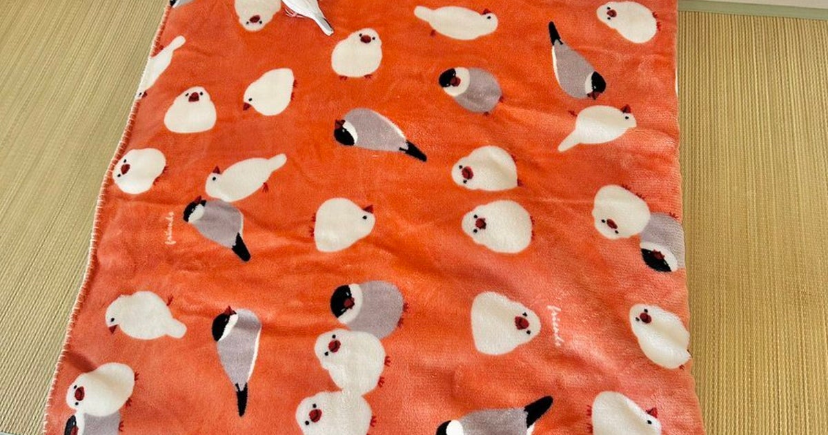 「この中に生きている文鳥が2羽います」⇨超難解な1枚に飼い主も思わず二度見「ウトウトしていると見つけられない…」